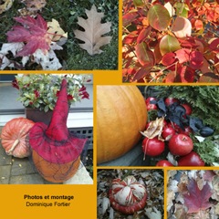 october-post-fall-colours-square_couleurs-d'automne